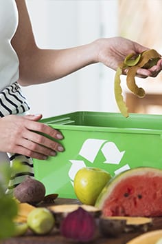 ¿Cómo podemos reciclar el material orgánico?